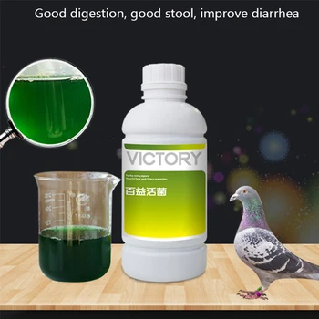 Пробиотици за стомашно-чревния тракт Гълъби 500 мл Месен Състезателен Гълъб Гълъб Пощенски Гълъб Диария Диария Зелено ще Помогне на Храносмилането и